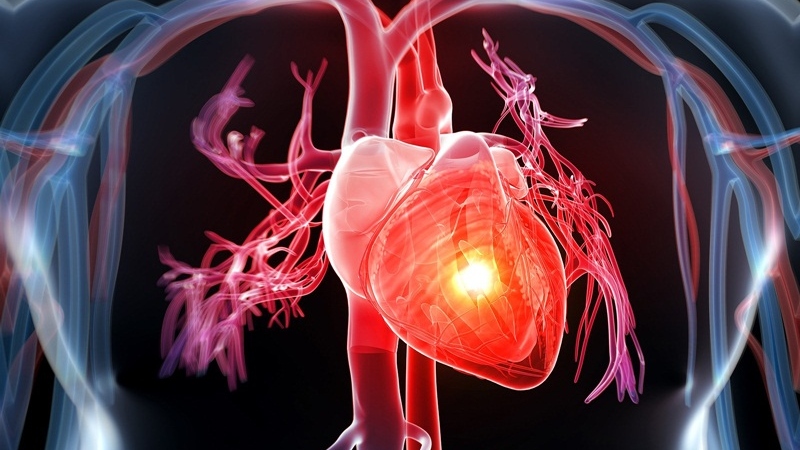 Bệnh tim mạch là bệnh ký nền thường gặp