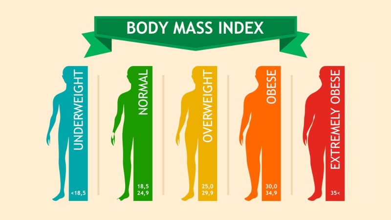Chỉ số BMI là công cụ đánh giá mức độ béo phì